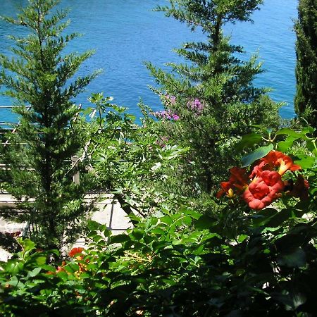 Apartments Mercep Dubrovnik Eksteriør bilde