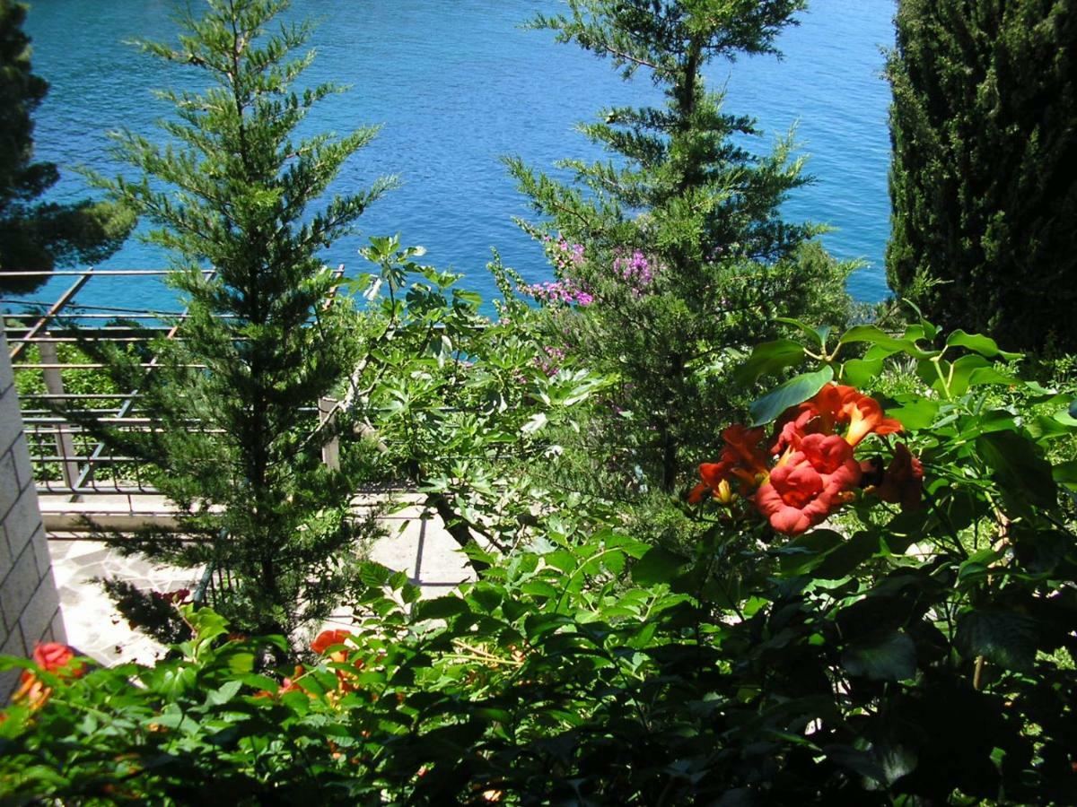 Apartments Mercep Dubrovnik Eksteriør bilde